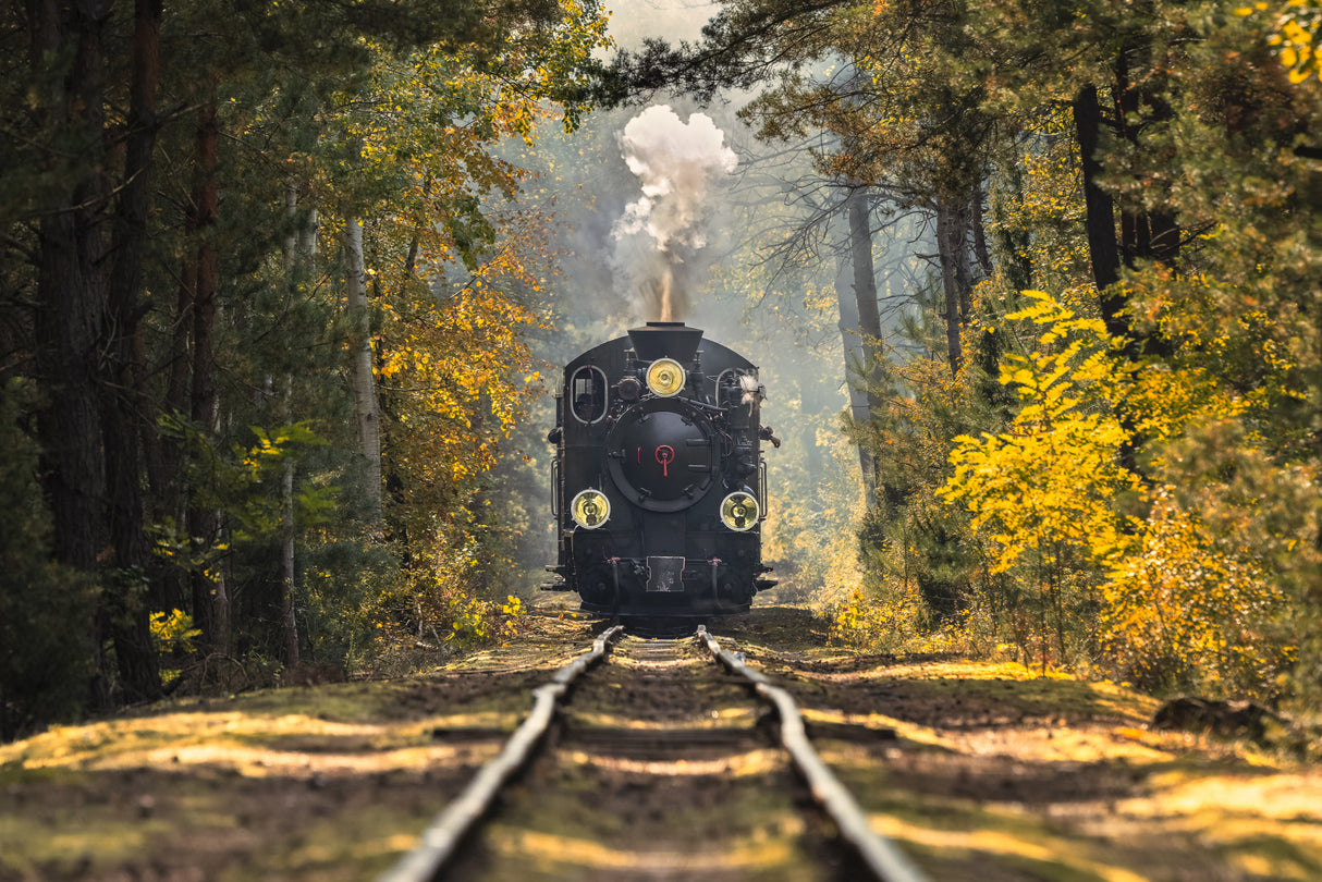 Fairytale Train Poster och Canvastavla