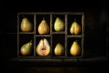 Be Different ! Poster och Canvastavla