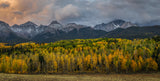 The Layers of Autumn Poster och Canvastavla