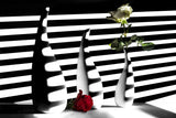 light and shadow Poster och Canvastavla