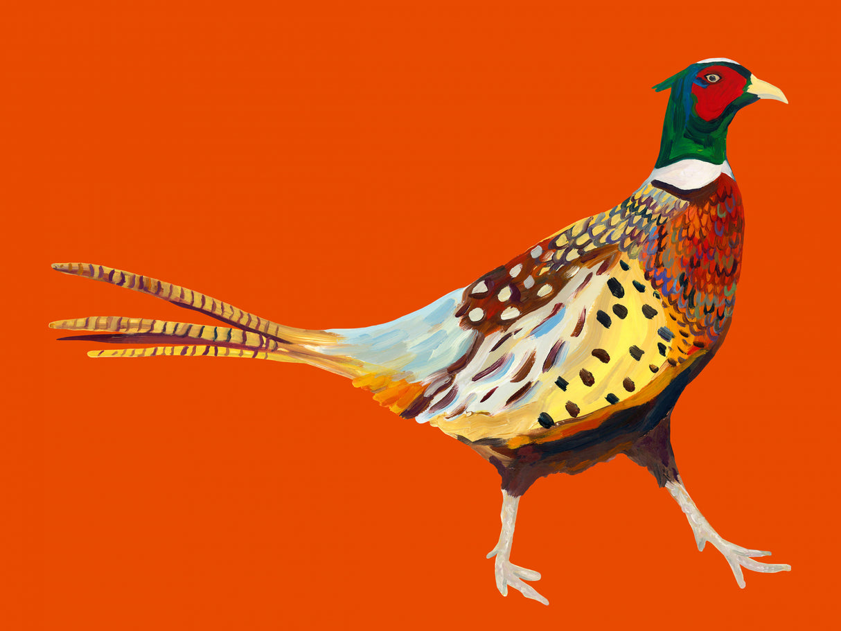 Strutting Pheasant On Orange Poster och Canvastavla