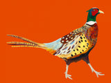 Strutting Pheasant On Orange Poster och Canvastavla