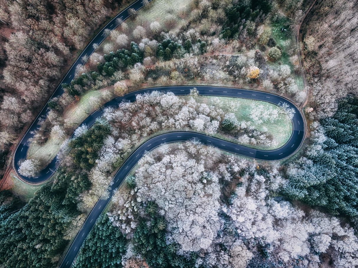 winter road Poster och Canvastavla
