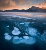 Bubbles in the lake Poster och Canvastavla