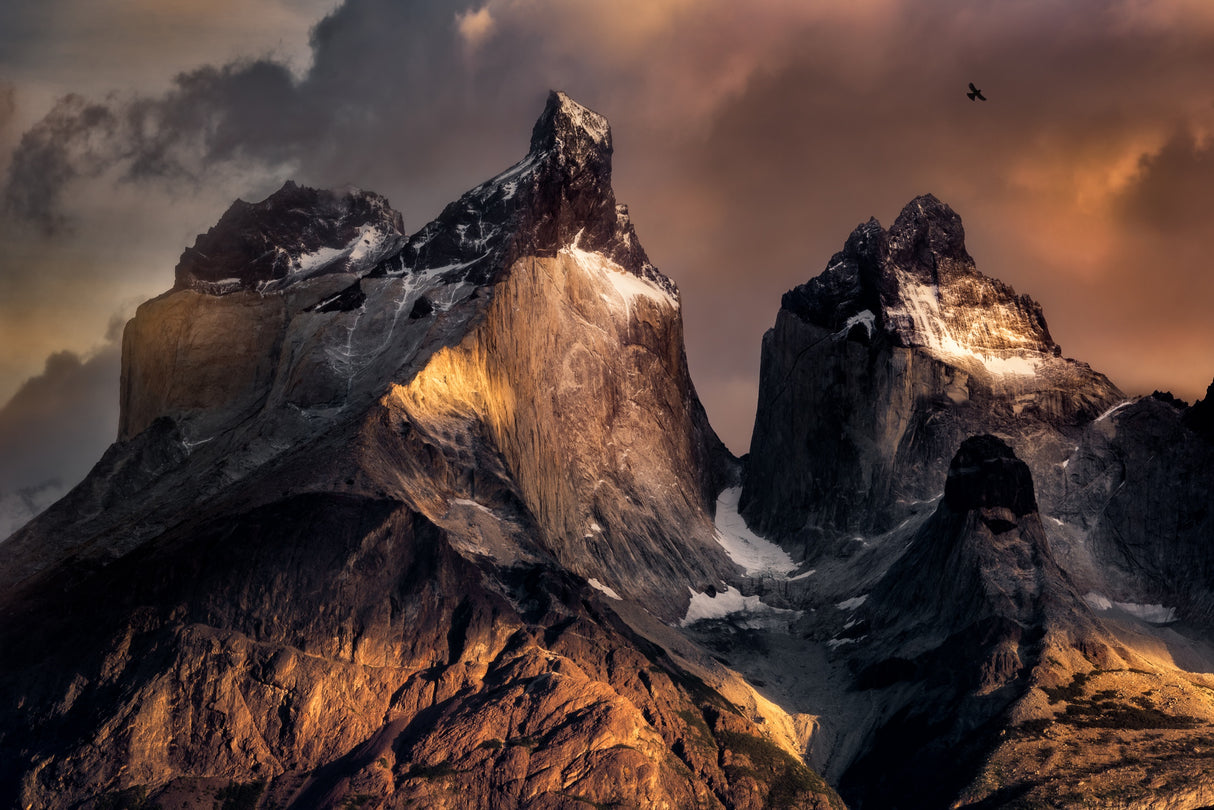 The Horns at sunrise Poster och Canvastavla