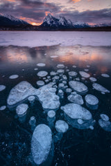 Icy world Poster och Canvastavla