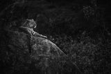 Mother Leopard Poster och Canvastavla