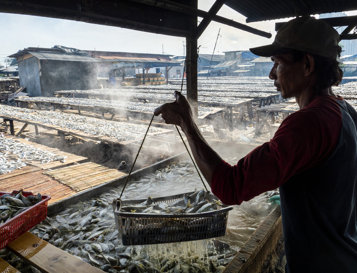 Salty fish Worker Poster och Canvastavla