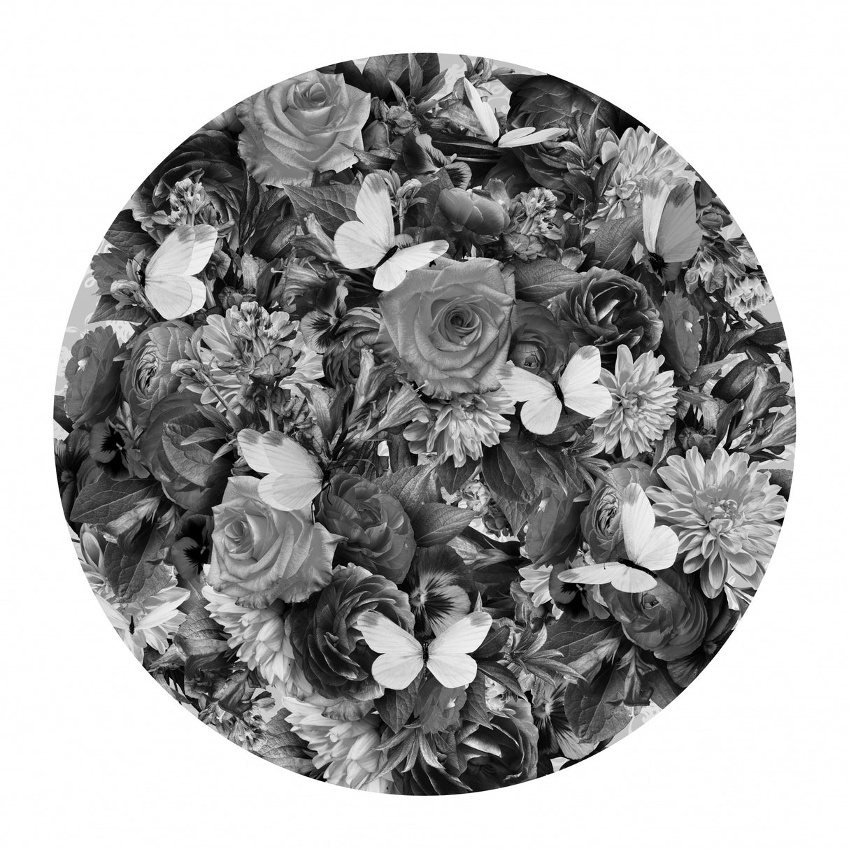 Destiny Blooms Black &amp; White Poster och Canvastavla