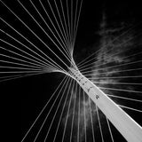 calatrava butterfly Poster och Canvastavla
