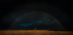 Giraffe and Rainbow Poster och Canvastavla