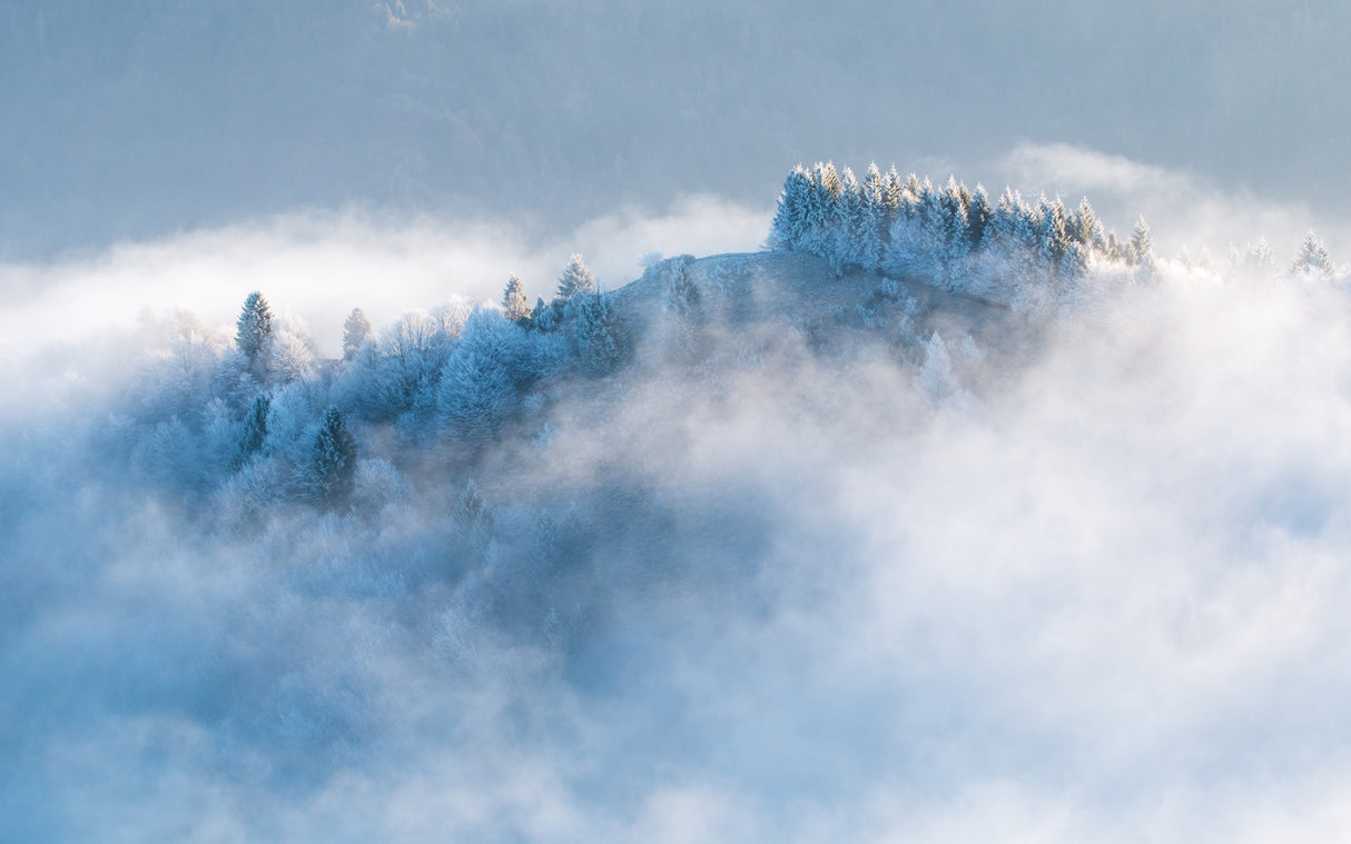 Frozen morning Poster och Canvastavla