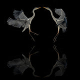 Dancing in the dark Poster och Canvastavla