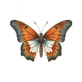 Butterfly 3 Poster och Canvastavla