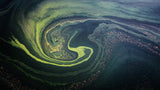 Nature's Nebula Poster och Canvastavla