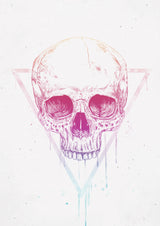 Skull in a triangle Poster och Canvastavla