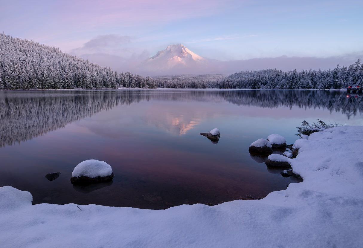First snow meet first light Poster och Canvastavla