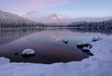 First snow meet first light Poster och Canvastavla