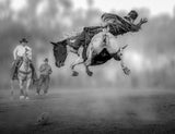 A Leap in the Air Poster och Canvastavla