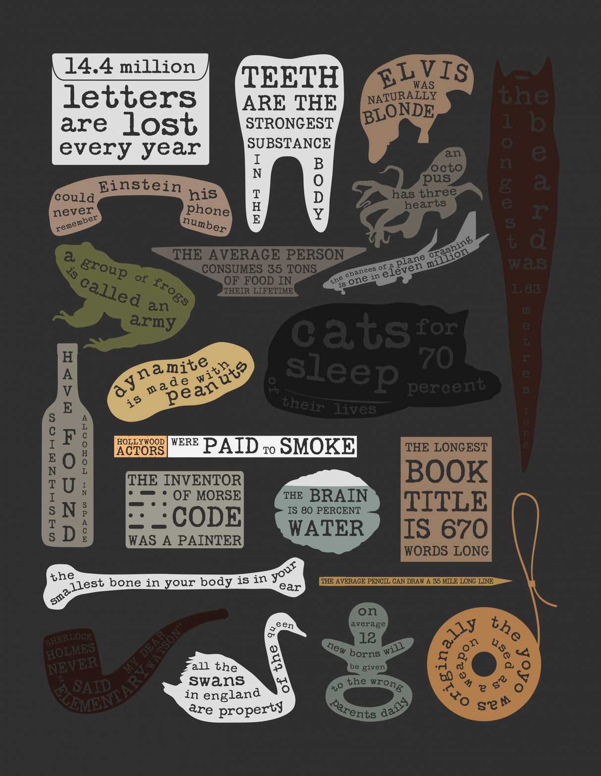 Useful Facts Poster och Canvastavla