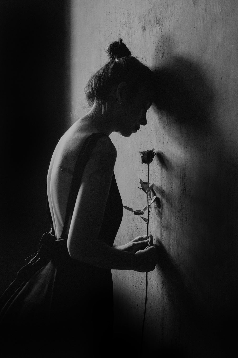 Black Rose Poster och Canvastavla