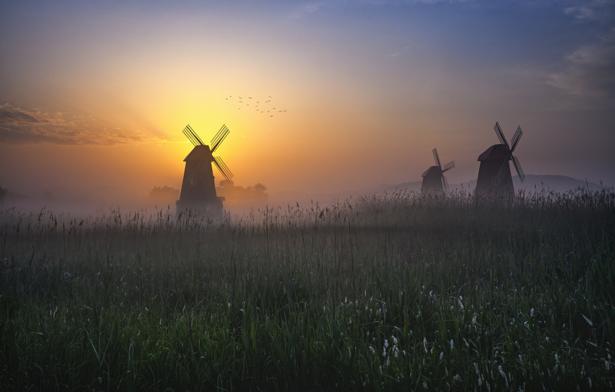 Morning glow Poster och Canvastavla