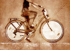 Cycling sport art 50 Poster och Canvastavla