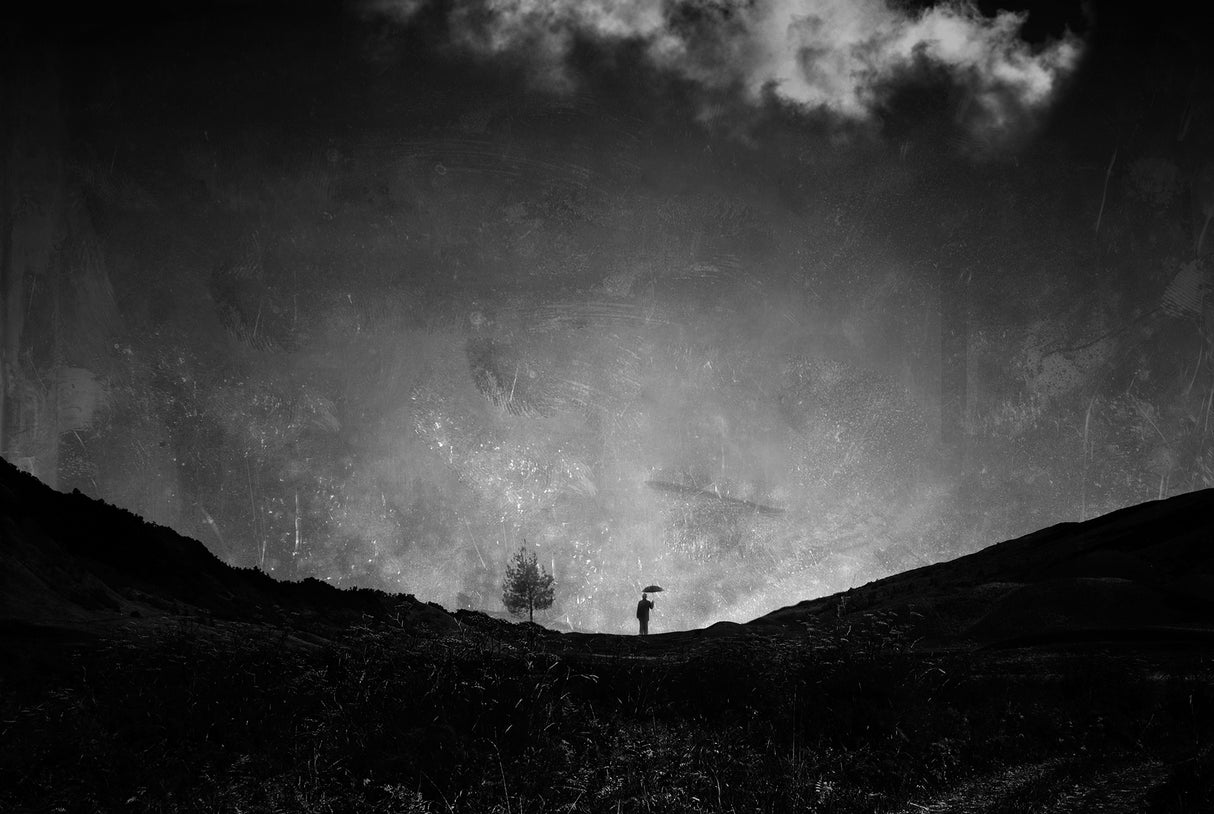 I will stand until it rains Poster och Canvastavla