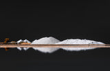 salt production Poster och Canvastavla