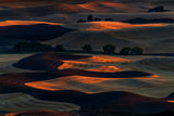 Sunset Light on Rolling Hills Poster och Canvastavla