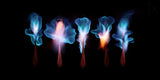 Burning magic potion Poster och Canvastavla