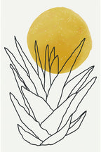 Abstract Agave Sunshine #1 Poster och Canvastavla