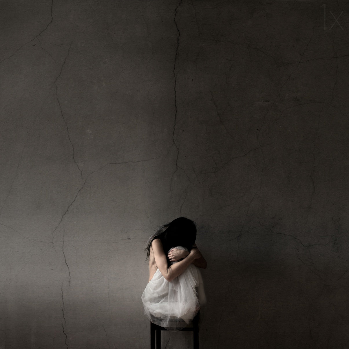 Isolated Poster och Canvastavla