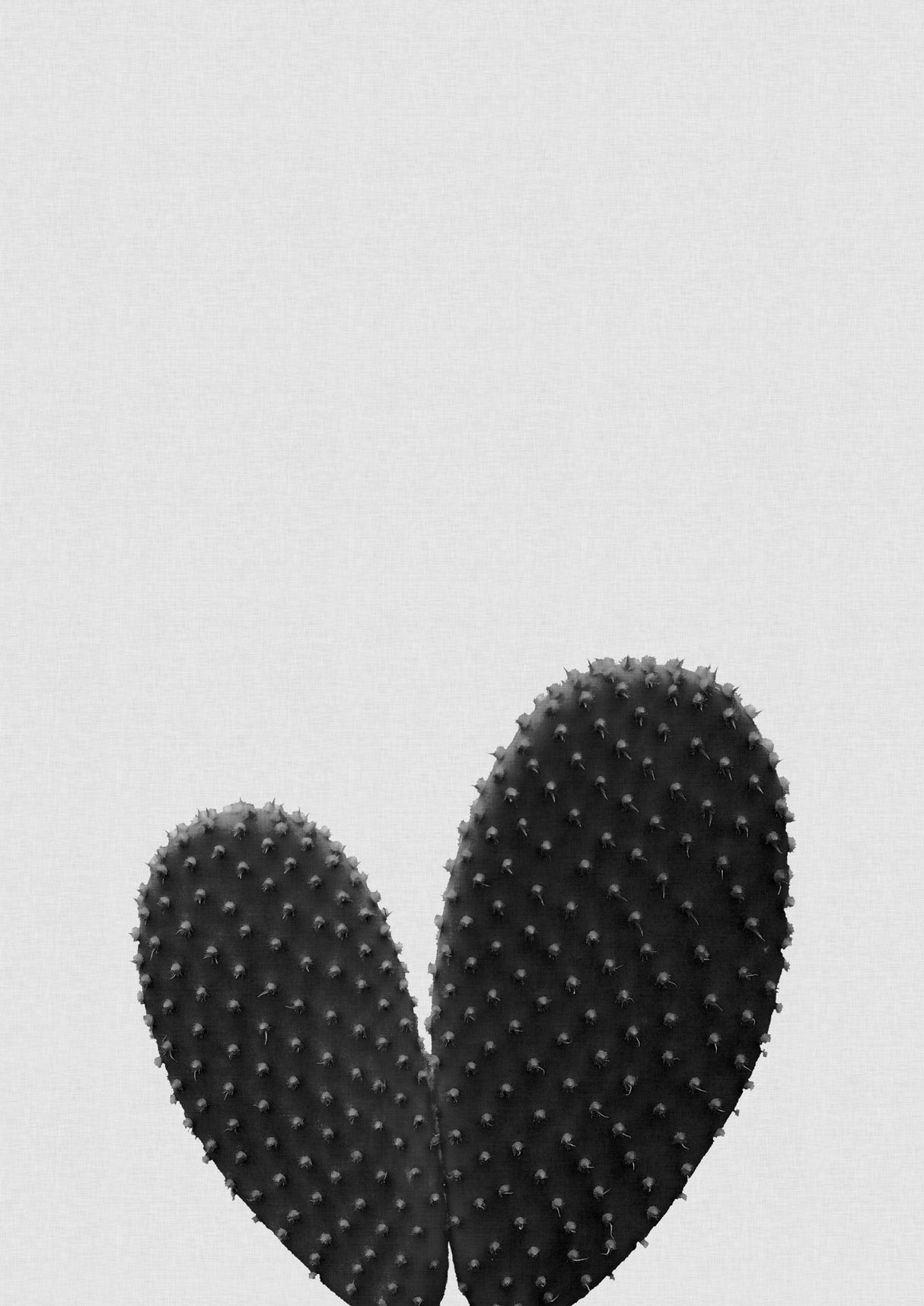 Heart Cactus Black & White Poster och Canvastavla