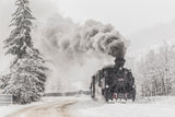 Winter story Poster och Canvastavla