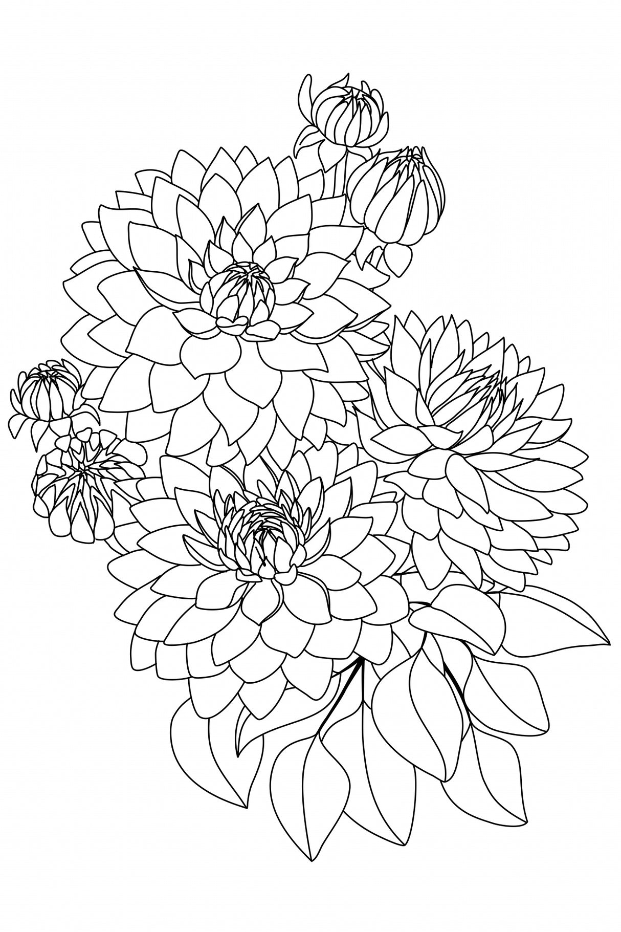 Pacey bouquet in black and white Poster och Canvastavla