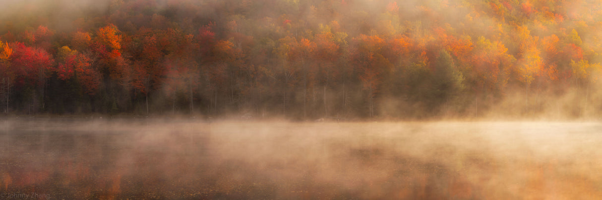 Peak of Fall Poster och Canvastavla