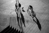 Two mans dog and cyclist Poster och Canvastavla