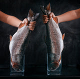 BIG FISH Poster och Canvastavla