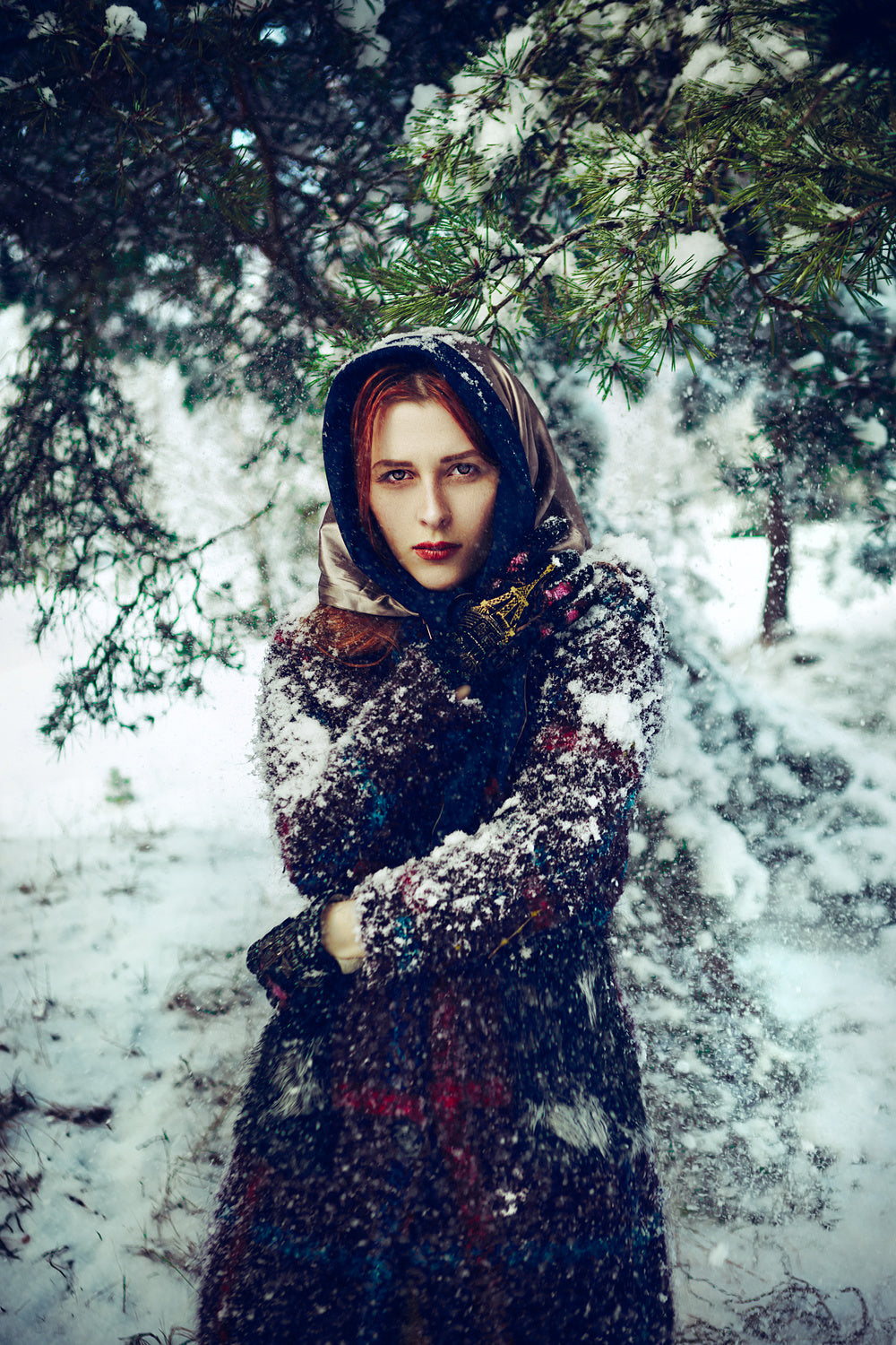 Siberian Vogue Poster och Canvastavla