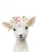 Floral Baby Sheep Poster och Canvastavla