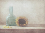 Sunflower Poster och Canvastavla