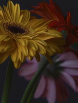 beautiful flowers Poster och Canvastavla