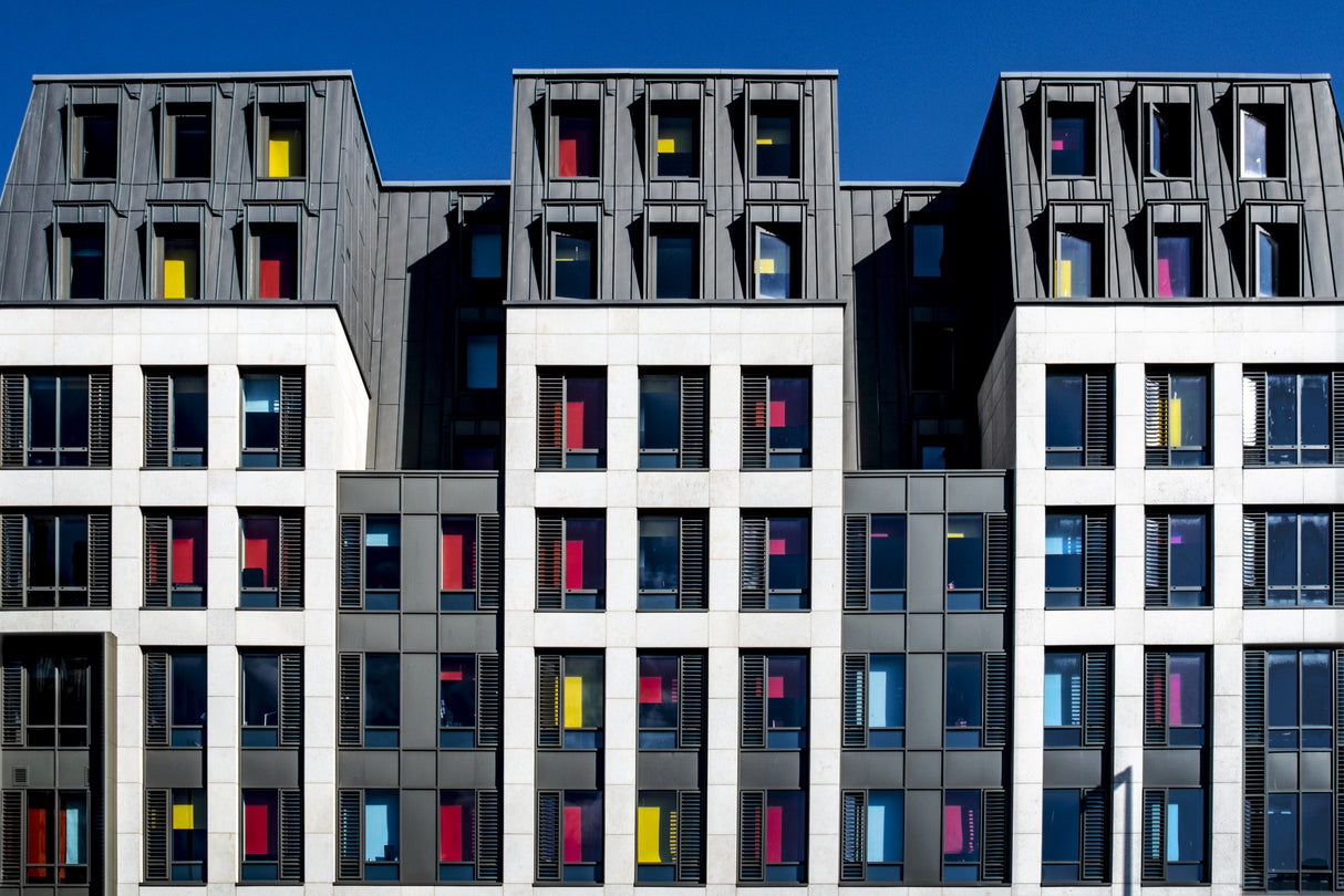 colour blind Poster och Canvastavla