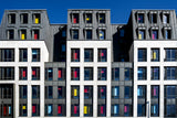 colour blind Poster och Canvastavla