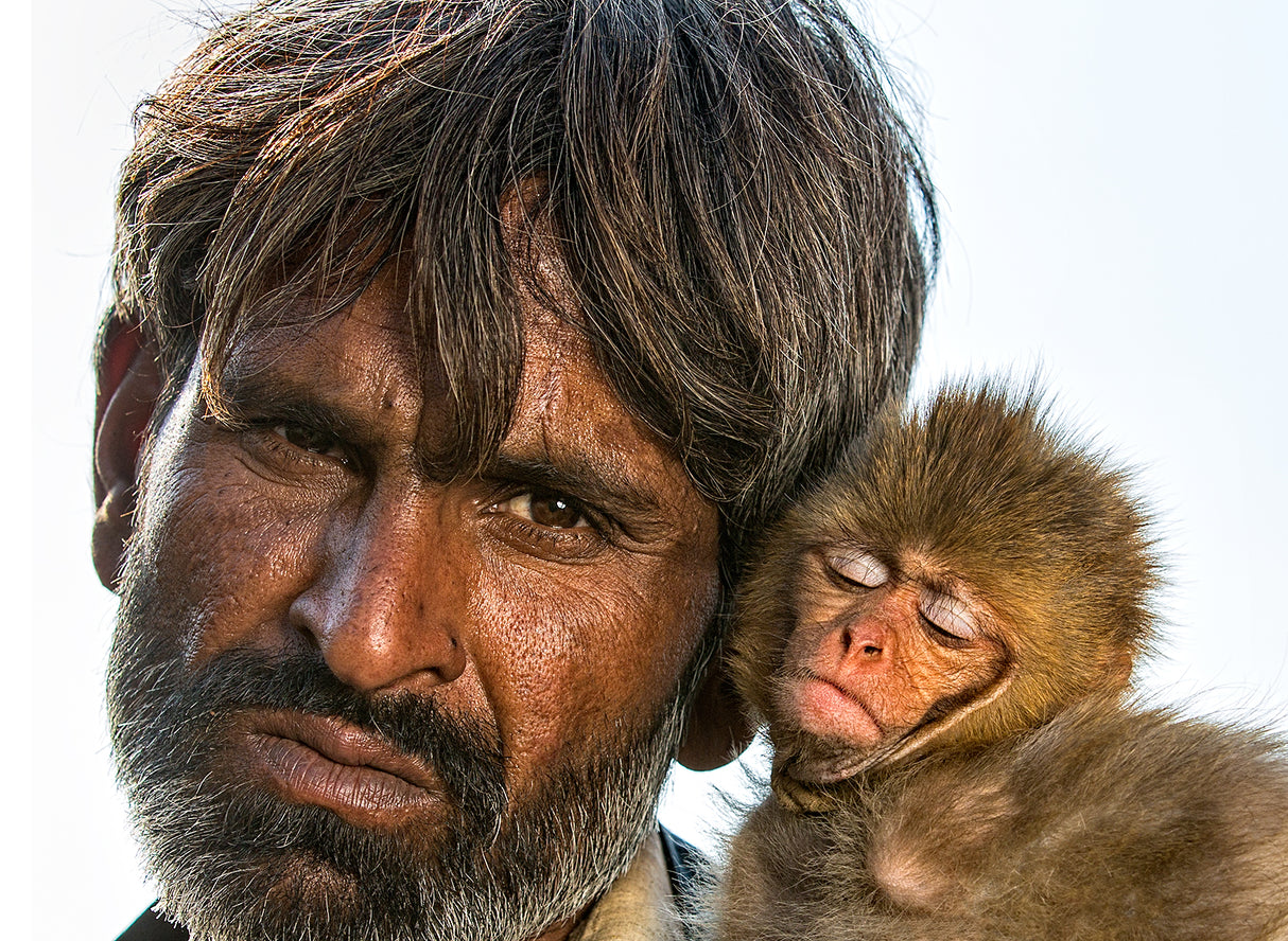 Man &amp; Monkey Poster och Canvastavla