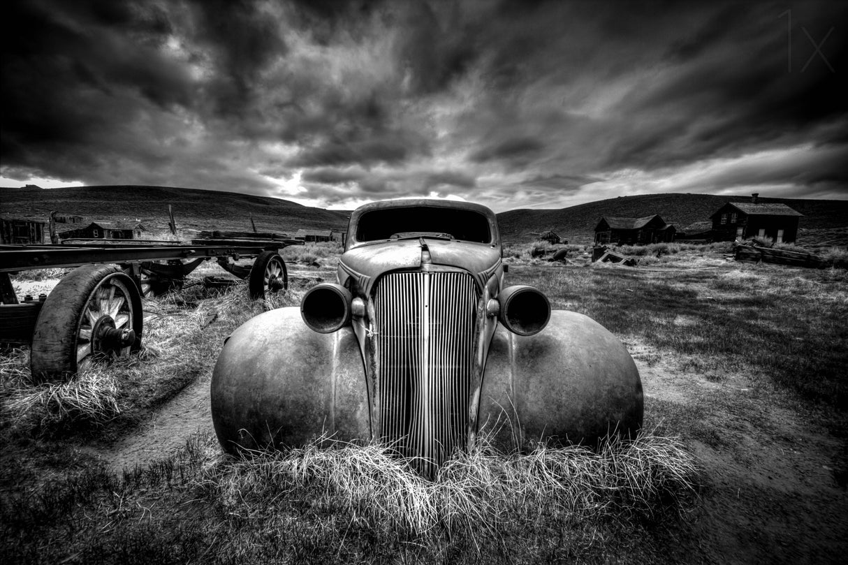 Too Old to Drive Poster och Canvastavla