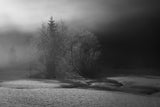 winter is painting in bw Poster och Canvastavla