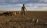 Gobi desert Poster och Canvastavla