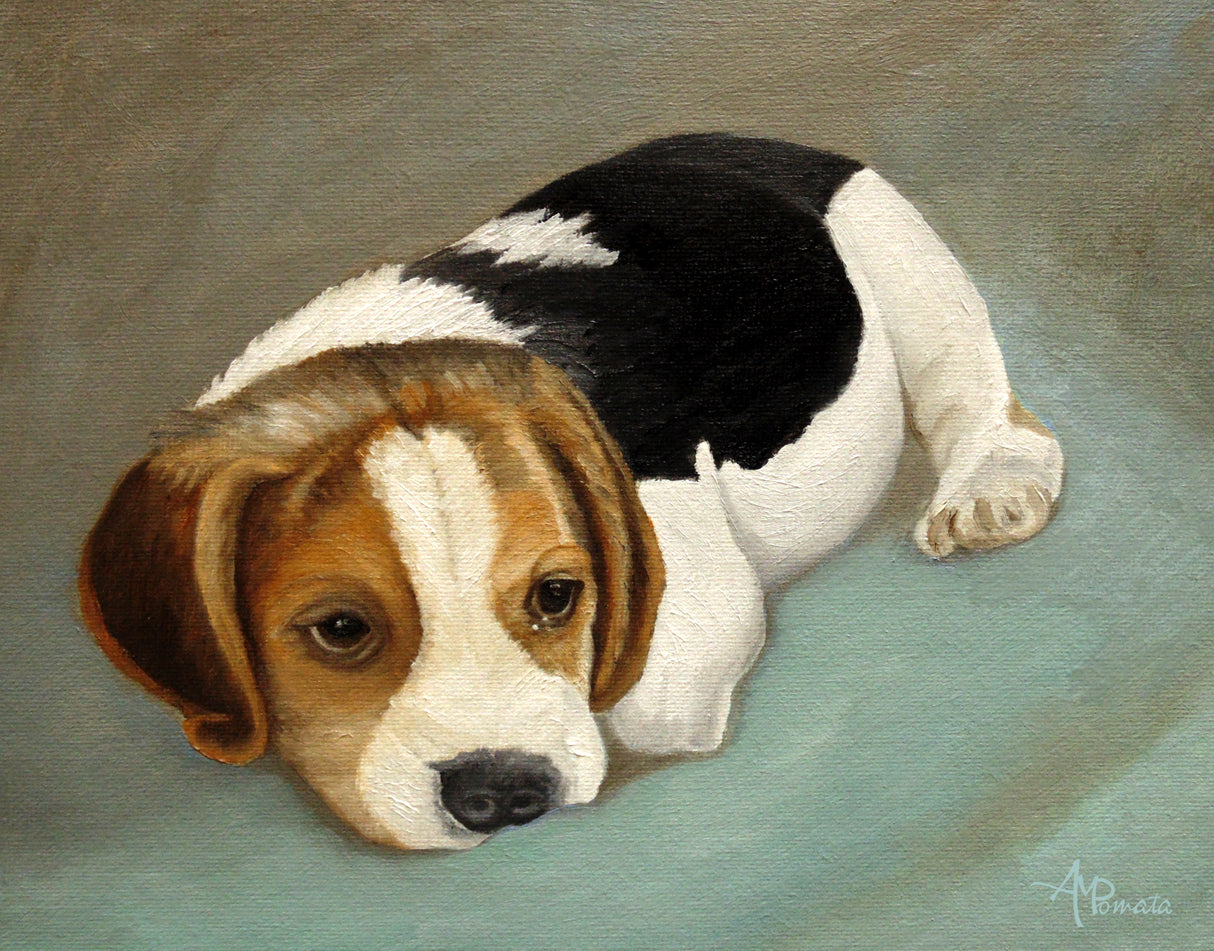 Cute Beagle Poster och Canvastavla